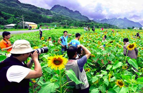 文化旅游规划案例